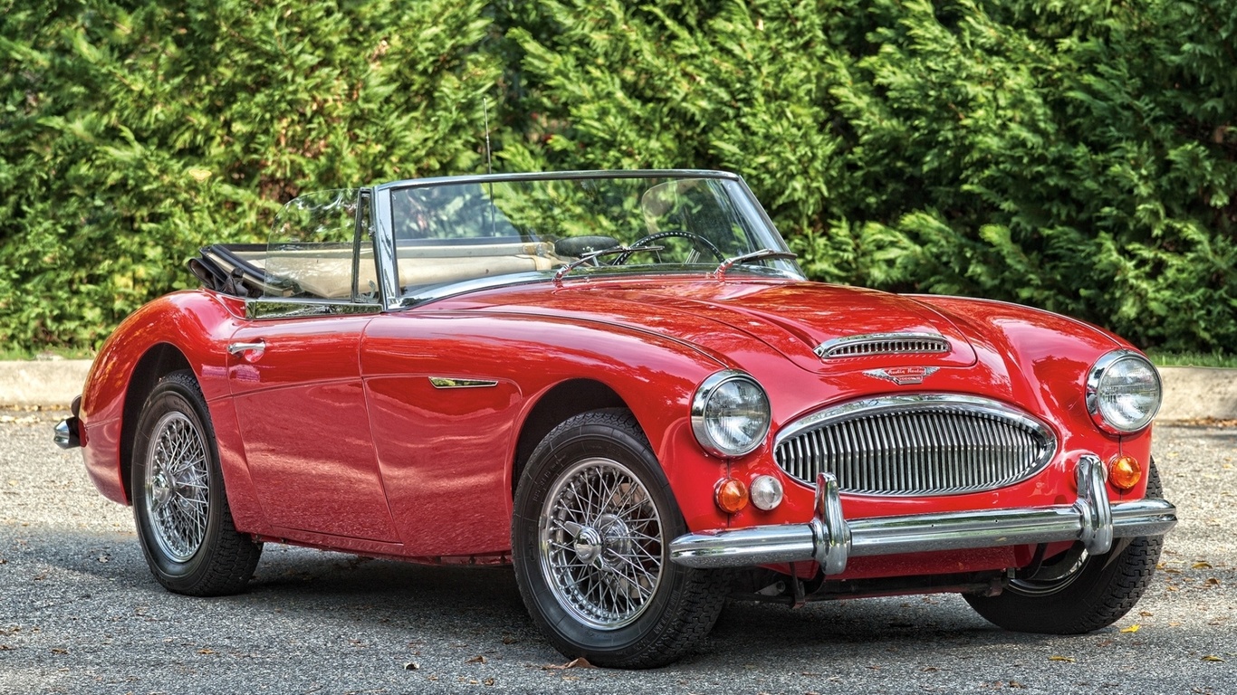 Austin Healey Roadster