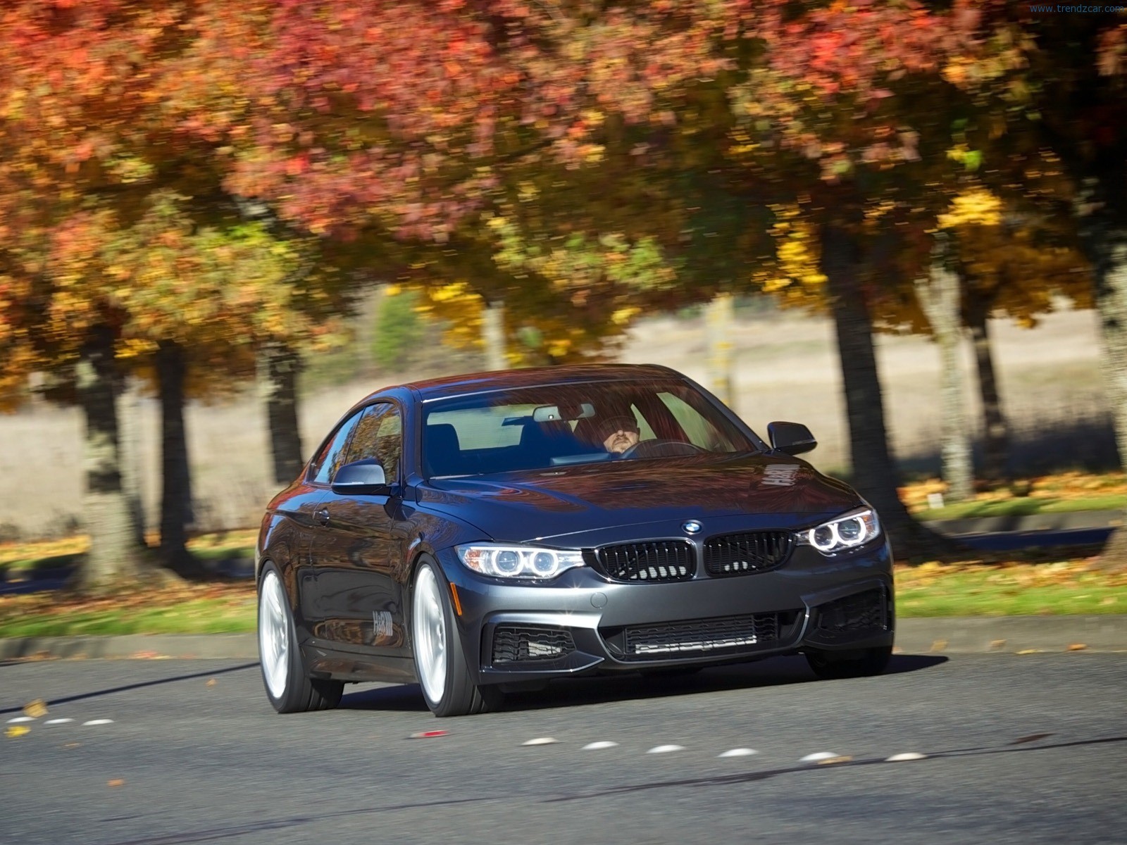 Bmw 428i M Sport